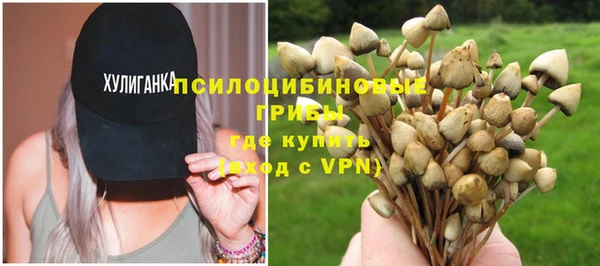 гашик Новочеркасск