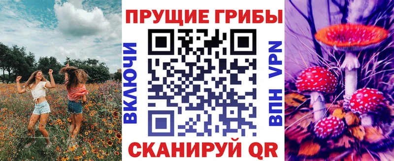 где найти наркотики Киренск ссылка на мегу как зайти Галлюциногенные грибы Psilocybe